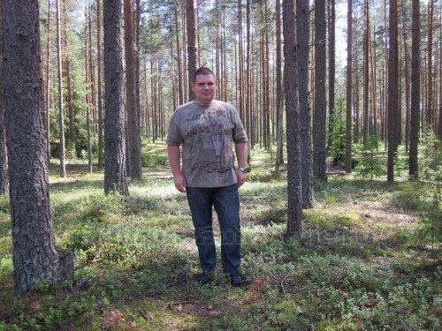 Лес