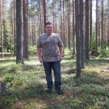 Просмотреть «Лес»